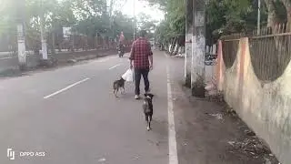 #Amazing Dogs#Be the Human they Believe us to be 🙏🏻 Protect, Be Kind, Together we can stop Cruelty🐕#