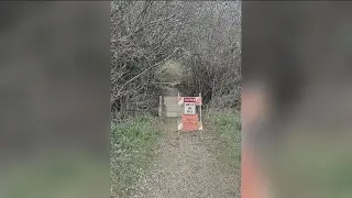 Marianne Williams Park flooding update