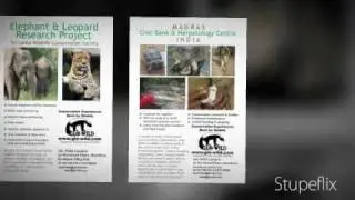 Volunteer for conservation with Glo-Wild
