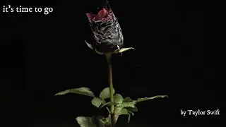 it&rsquo;s time to go - taylor swift (bonus track) (tradu&ccedil;&atilde;o/legendado)