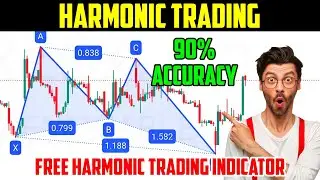 Harmonic Trading Strategy Tamil | Harmonic Pattern | All Harmonic Pattern Indicator
