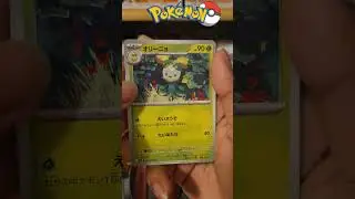 POKEMON - 