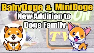 BabyDoge Coin and MiniDoge Coin | New Addition To Doge Family | Greason Tv