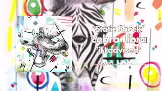 Zebra Libra - Static Shock [Officlal Audio]
