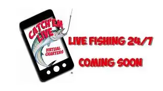 Catch'em Live