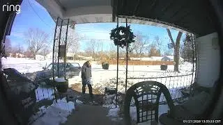 UPDATE: The lion decorations shown in this video have been recovered and returned.