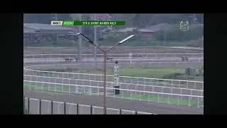 Justice Prevails - Race 1 - Nov 28, 2025