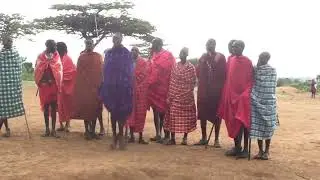 Masai Mara, Kenya: Masai warriors jumping. The highest jumper is most desirable by women