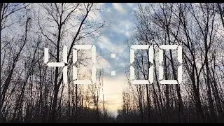 4K Forest Walk with Brown Noise 🍃 3 Hours Study With Me | ADHD Focus & Calm