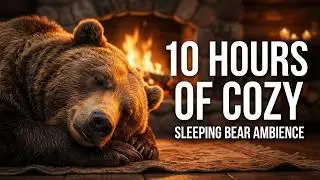🐻 Спящий Медведь у Камина 10 Часов | 🔥 Звуки потрескивающего огня