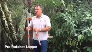 Pro Ratchet Lopper