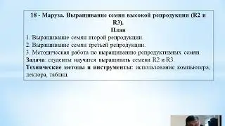 3-17 17-лекция