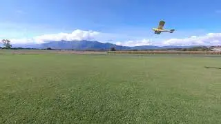 Hangar 9 Carbon Cub easy flying