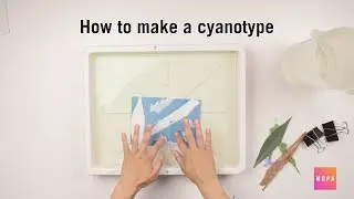 In Process: Cyanotype
