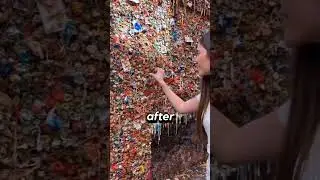 Crazy Chewing Gum Wall!
