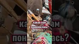 Для шляпок #шляпа #антиквариат #винтаж #барахолка #франция