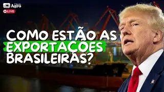 Como est&atilde;o as EXPORTA&Ccedil;&Otilde;ES brasileiras?