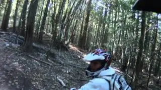 Eli Sim