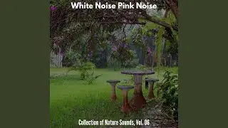 Viva Thunderstorm Sound