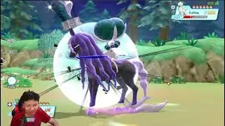 🔥🔥🔥PROVING BATTLE SOLO CALYREX DARK RIDER‼️| Elf Explorer