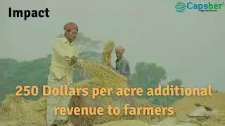 Capsber AgriScience: Revolutionizing Agriculture with Sustainable Biological Solutions