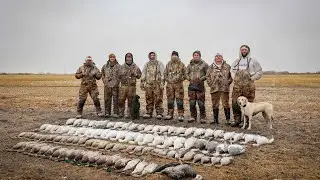 Hunting Ducks & Geese in Canada (Combined Hunts)