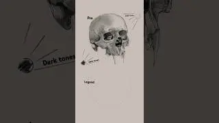 How to draw a vampire skull 😳 #sketch #art #shorts