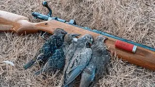 BOLT ACTION Shotgun Challenge! (OLD GUN)