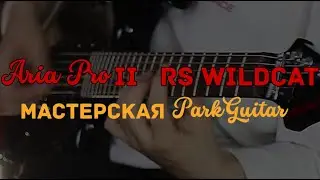 Aria Pro II RS Wildcat - Мастерская Park Guitar