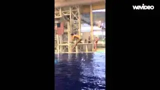 Anthony Musciano New Dives and Lead Ups