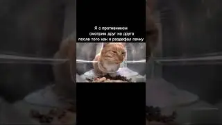 #polywar #поливар #kuboom #кубум #промокоды #кот #нейзи #dart #читыполивар #дарт #стандофф #мем