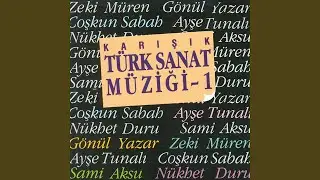 Sevemez Kimse Seni