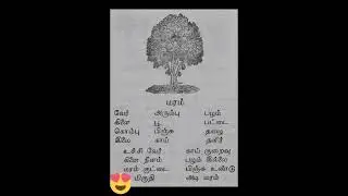 நினைத்தாலே இனிக்கும் நினைவுகள் old text book memories @90smemoriesold #oldmemories #oldbook #tamil