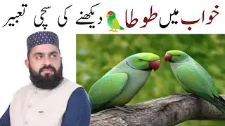 Khwab Main Tota Dekhny Ki Tabeer || Khwab Main Toty Ka Shikar || khwab Me Tota Marna || Tota Urhana 