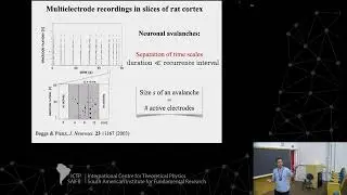 Mauro Copelli: Collective Neuronal Behavior and the Critical Brain Hypothesis - Class 1