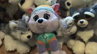 🐕 My husky plush collection💖🐕