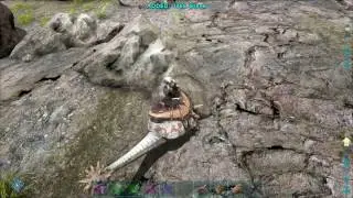 Best Stone Gathering Dino - ARK Survival Evolved