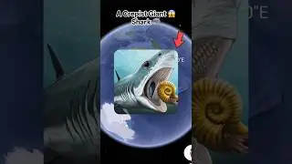 I Found Creepiest Shark😱🦈google maps and google earth #bts #earth616 #creptiez #shark Earth 🌎