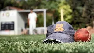 Sports Culture