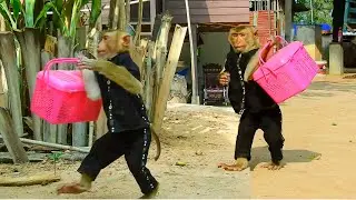 Can't Wait Mum ! SokYaa Carry Milk Back Home, DIY SokYaa Video