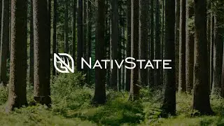 NativState Overview - Forest Carbon Developer for Small Landowners.