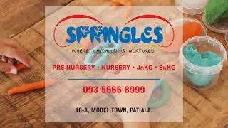 Springles Advt 12 Second