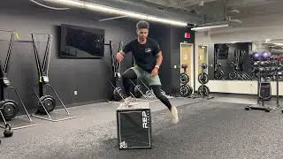 Burpee Box Jump Over