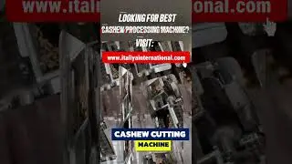 🌍 Italiya International 🌍Looking for the best Cashew Processing Machine? 🥜⚙️