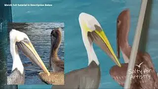 Time-Lapse Oil Painting &ndash; Pelicans at Boynton Beach Inlet | Florida Wildlife Art
