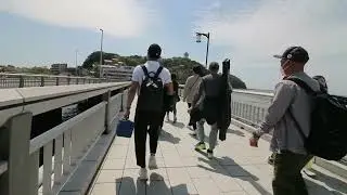 バイ貝 Catching and eating Babylon Sea Snails Fishing in Japan