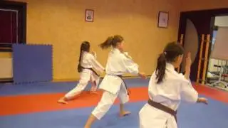 KARATE SCHULE RHEINFELDEN KATA TEAM