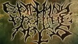 Epiphany From The Abyss - 2 Singles (FULL DEMO // 2010) Progressive Deathcore