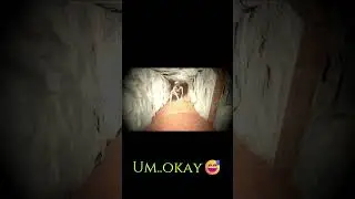 Smile for the ah shit.... #gaming #letsplay #panic #horror