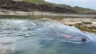 Flynn&rsquo;s Adventures @ Catherine Hill Bay Rockpool